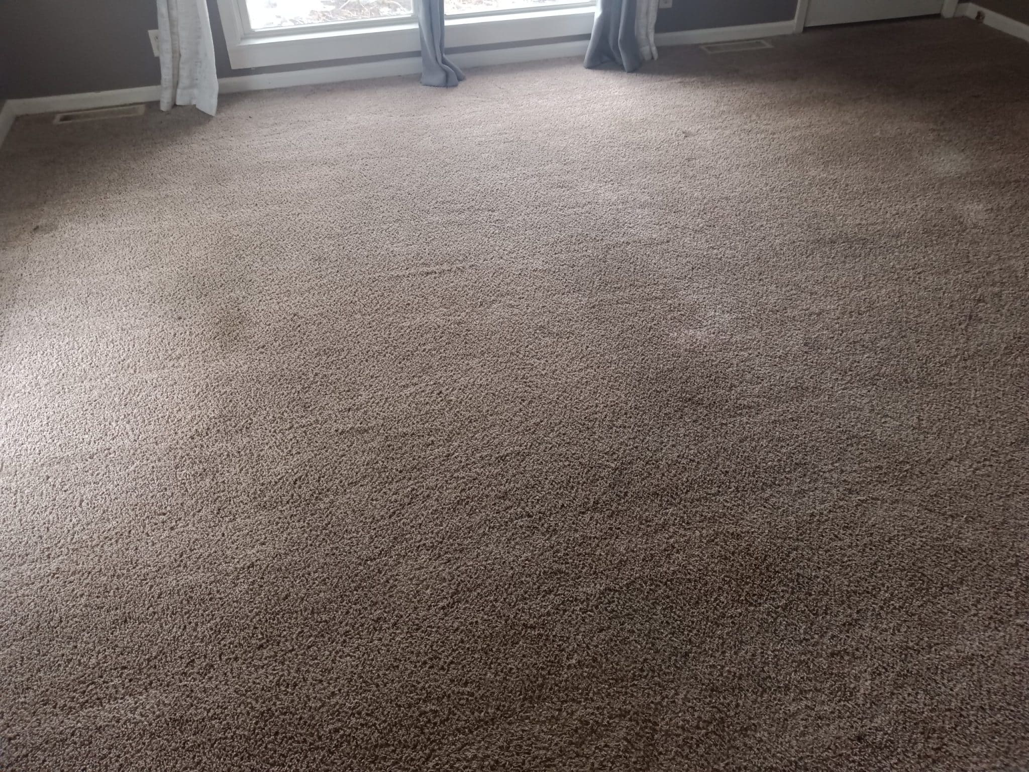 Carpet Cleaning