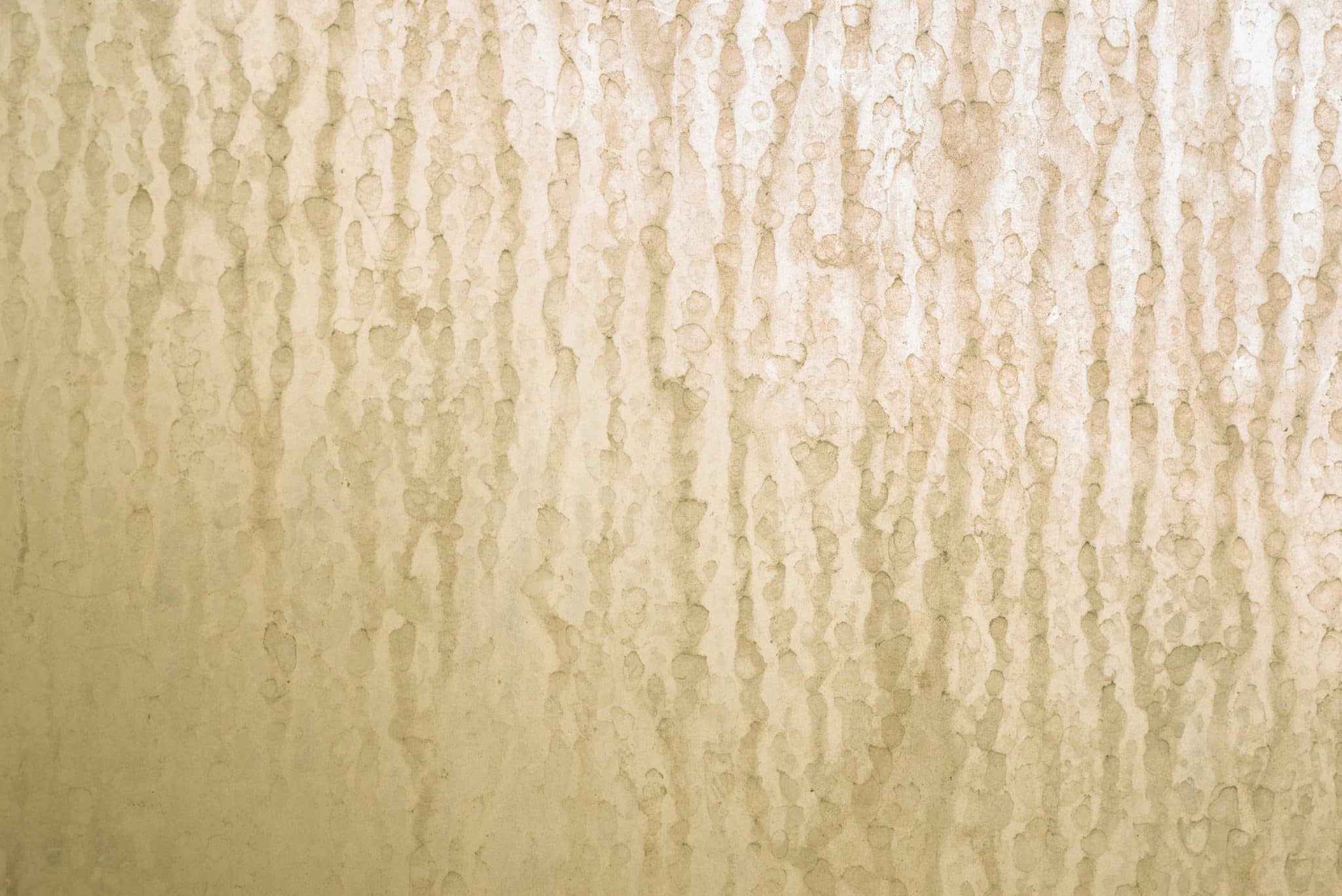 Remove Hard Water Stains